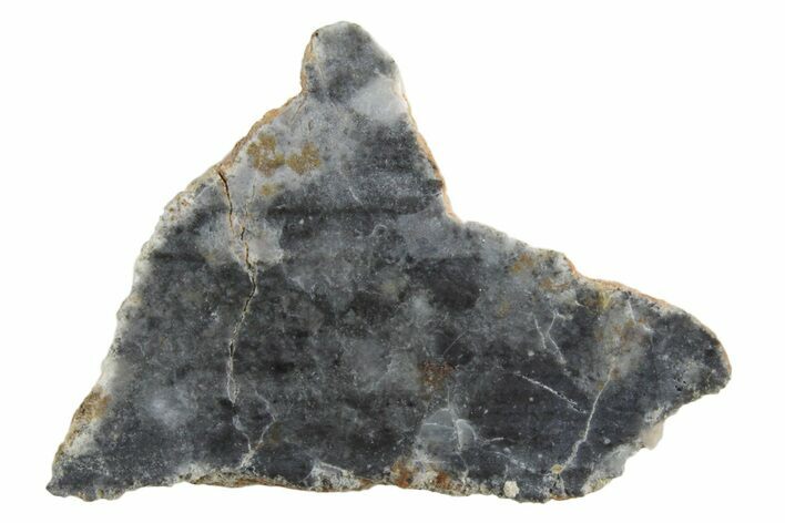Lunar Meteorite ( g) Section - Bechar #348193